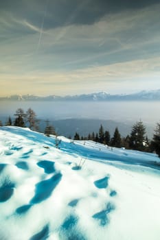 Fantastic winter landscape, sunset, snow covered trees