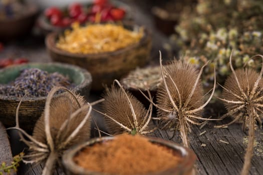 Homeopathy, herbal medicine on wooden table