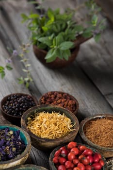 Fresh medicinal herbs on wooden background