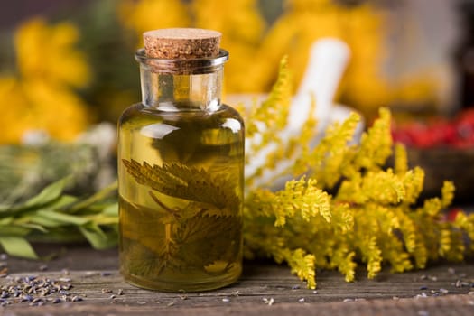 Fresh herbs and oils, wooden table background