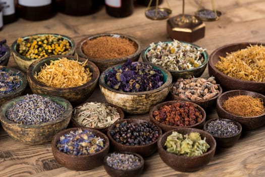 Fresh medicinal herbs on wooden background