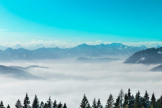 Mountains, trees covered with white snow