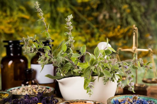 Alternative medicine, dried herbs background