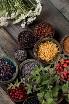Homeopathy, herbal medicine on wooden table
