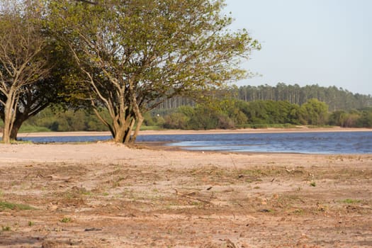 summer landscape on the banks of the river in the city of federation province of entre rios argentina