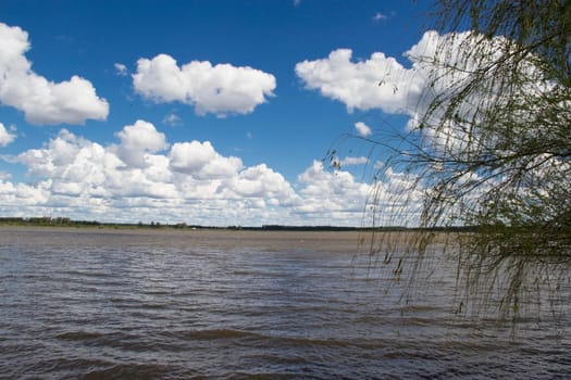 river very grown, vegetation south america