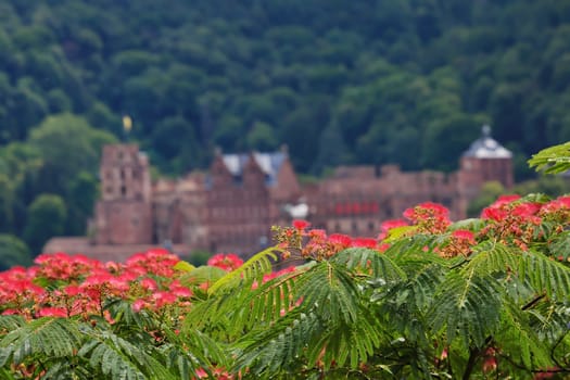 Heidelberg is a city on the Neckar in Germany, Schloss