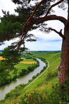 Hessigheim rock gardens are well suited for climbing and hiking