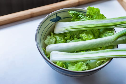 Three green onion and lettuce in a bowl on a white background. Top to bottom. Layout.