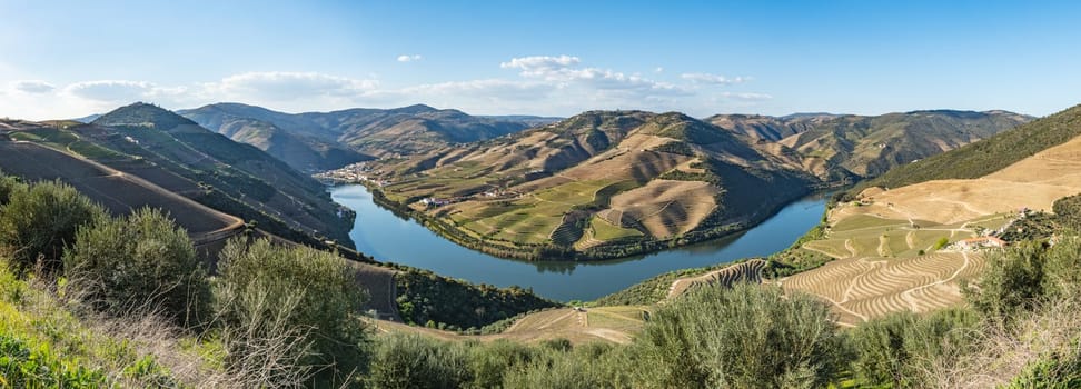 View of the terraced vineyards in the Douro Valley and river near the village of Pinhao, Portugal. Concept for travel in Portugal and most beautiful places in Portugal.