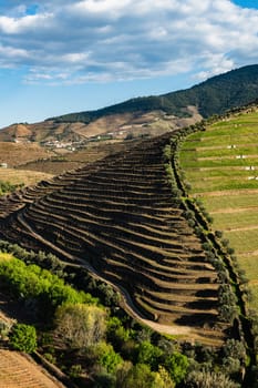 View of the beautifull Torto river valley with vineyards and terraced slopes in the Douro Region, famous Port Wine Region, Portugal.