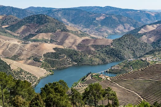 Viewpoint of Vargelas allows to see a vast landscape on the Douro and its man-made slopes. Douro Region, famous Port Wine Region, Portugal.