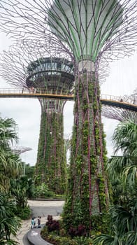 gardens by the bay supertrees modern architecture day