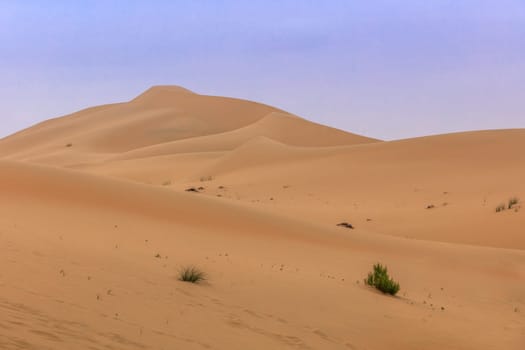 sand dunes in Abu Dhabi desert. United Arab Emirates
