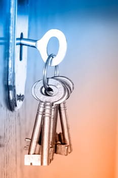 key ring in closeup