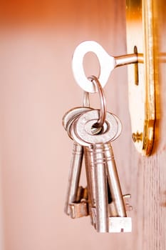 key ring in closeup
