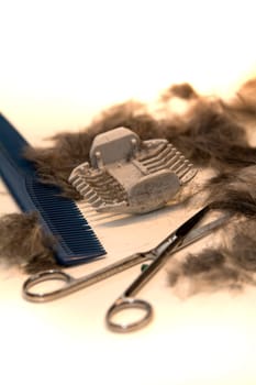 animal barber - equipment