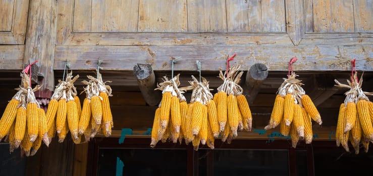 Piles of corn hanging from an old wooden village house to dry, Longji, China