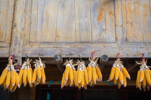 Piles of corn hanging from an old wooden village house to dry, Longji, China