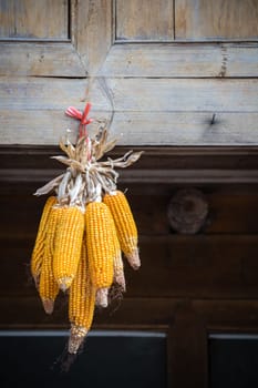 Pile of corn hanging from an old wooden village house to dry, Longji, China