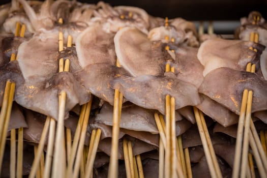 Calamari and baby octopus meat on wooden sticks, ready to be grilled on the street in the Muslim Quarter, Xian town, China