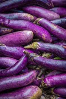 Pile ripe purple aubergines on sale on a street farmers market in China