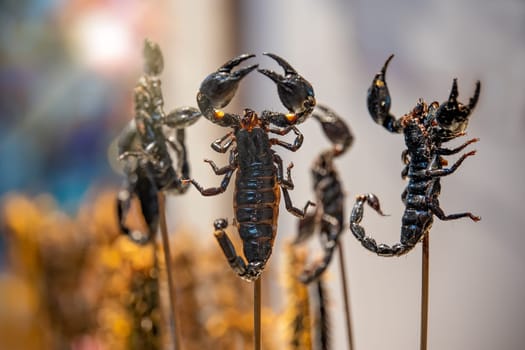 Roasted and fried scorpions on skewers for sale on a street market in China
