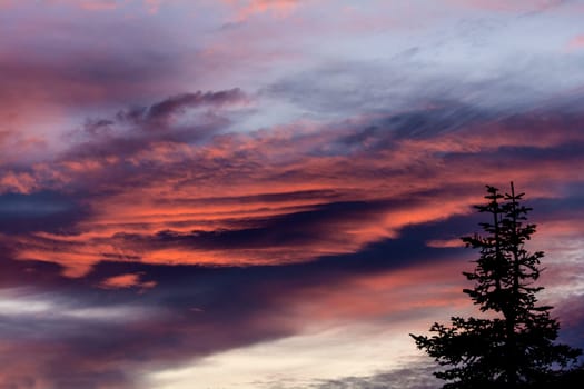 a red sky