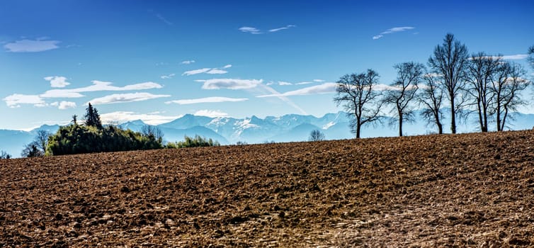 panorama of a field, Pyrenees mountains on background