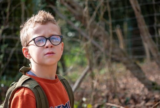 a portrait of young boy with glasses