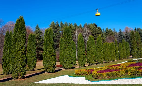 Thuja alley in the famous resort park Kislovodsk,Northern Caucasus,Russia.