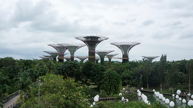gardens by the bay trees daytime modern landmark Singapore view
