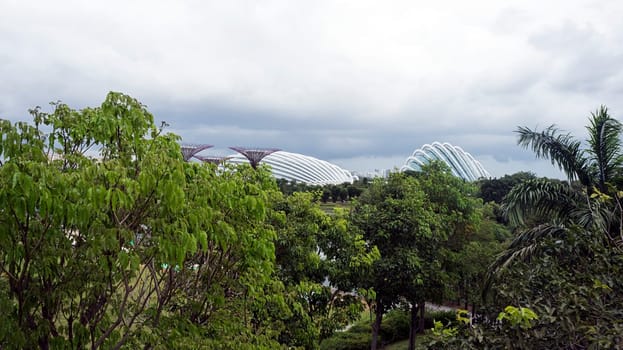 gardens by the bay trees daytime landmark Singapore modern
