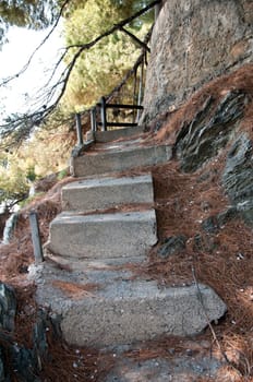 old concrete staircase strewn with pine needles