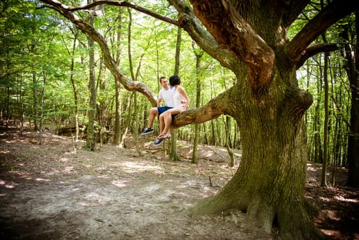 Dating in nature - young couple sitting together on big tree