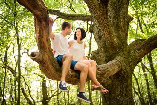 Dating in nature - young couple sitting together on big tree