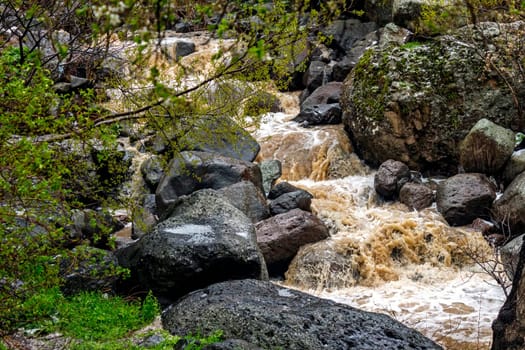 .Beautiful mountain river in springs day, Armenia.