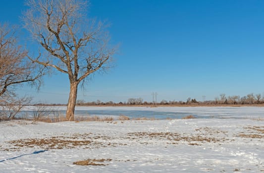 Lonely Winter Morning on The Great Plains on the Platte River near Kearney, Nebraska