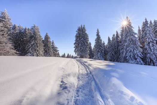 mountain landscape in winter. Bucegi Mountains, Romania