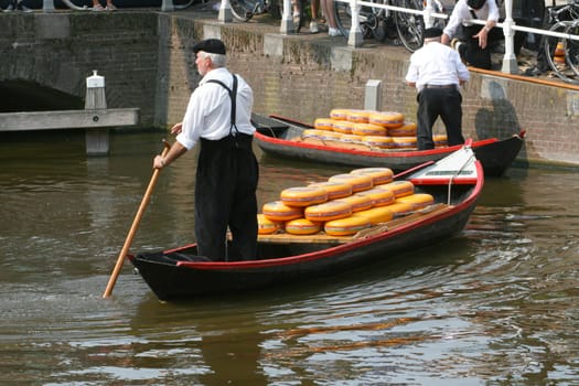 Alkmaar, The Netherlands  July 27th 2012: The weekly cheese market.