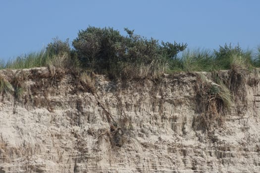 a sandy cliff on the sea coast