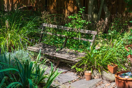 Beautiful view of an old wooden bench in a natural garden