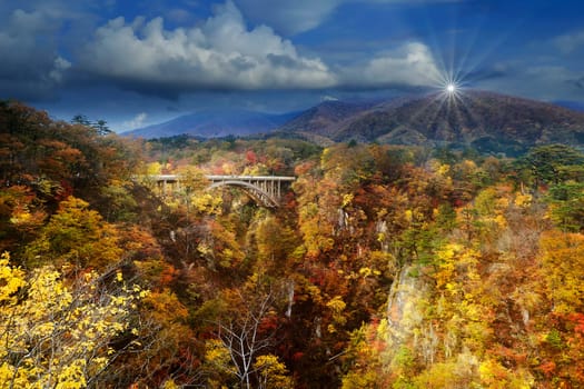 The Naruko Gorge beautiful maple leaves in autumn