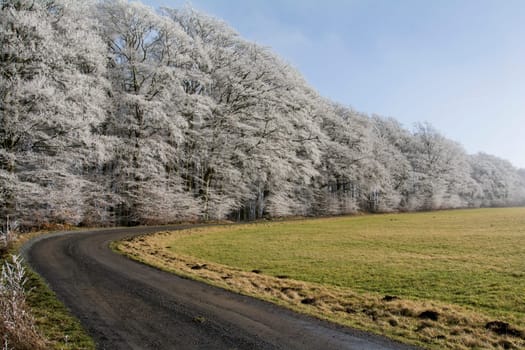 Cold winter in the Eifel in Germany