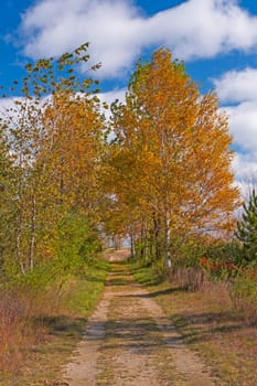 Bucolic Road in the Fall in Taras Poitn State Park in Michigan