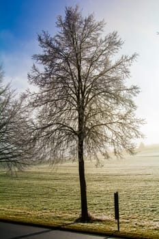 Cold winter in the Eifel in Germany
