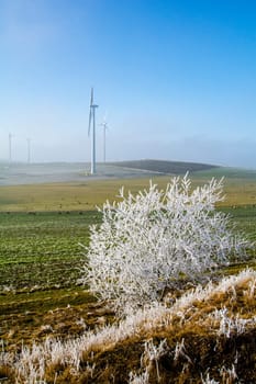 Cold winter in the Eifel in Germany