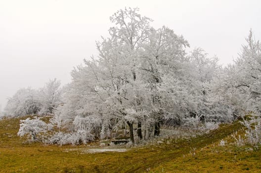 romantic winter landscape in the Rhön