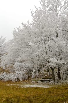 romantic winter landscape in the Rhön
