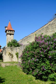 View of a tower of the old church castle in Ostheim, Rhoen, Bavaria, the largest of its kind in Germany, with purple lilac and blue sky